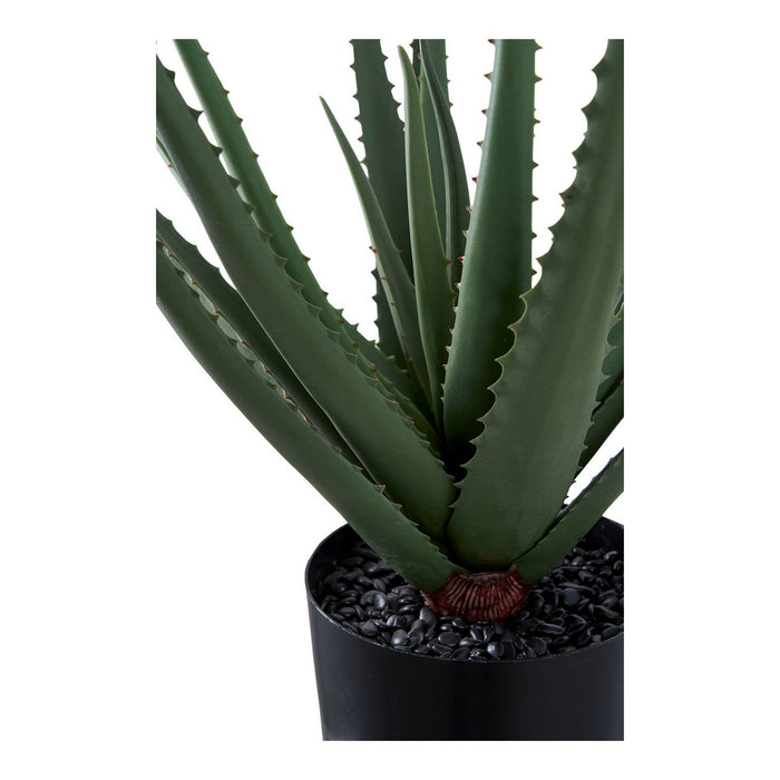Pianta Artificiale Aloe, Verde, Plastica PE, 30,5x30,5x51 cm, Seven Design