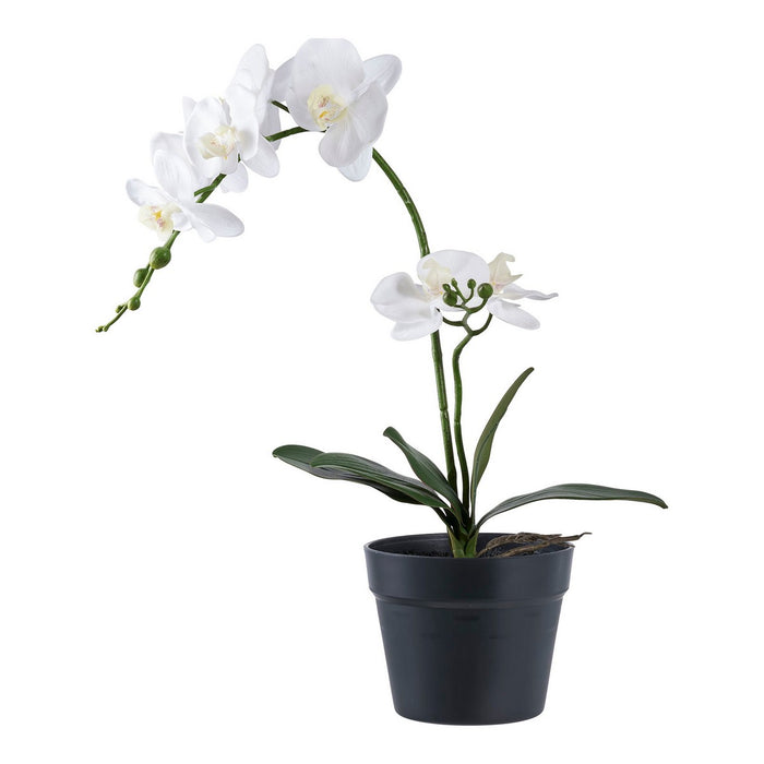 Pianta Artificiale Orchidea, Verde, Plastica PE, 21x34x47 cm, Seven Design