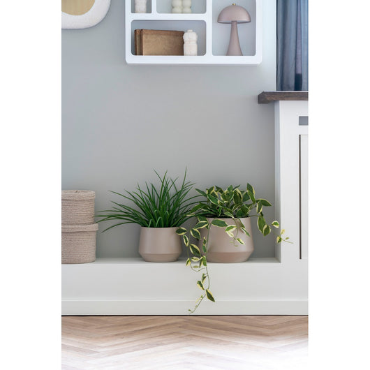 Pianta Artificiale Lovely, Verde, Plastica PE, 51x51x45 cm, Seven Design