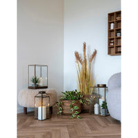 Pianta Artificiale Hoya, Verde, Plastica PE, 25,5x25,5x33 cm, Seven Design