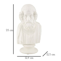 Scultura Grecia 5, Bianco, Poliresina, 12,9x12,5x25 cm, Seven Design