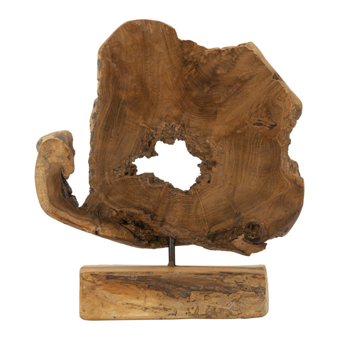 Scultura Radice 3, Marrone, Legno, 31x13x35 cm, Seven Design