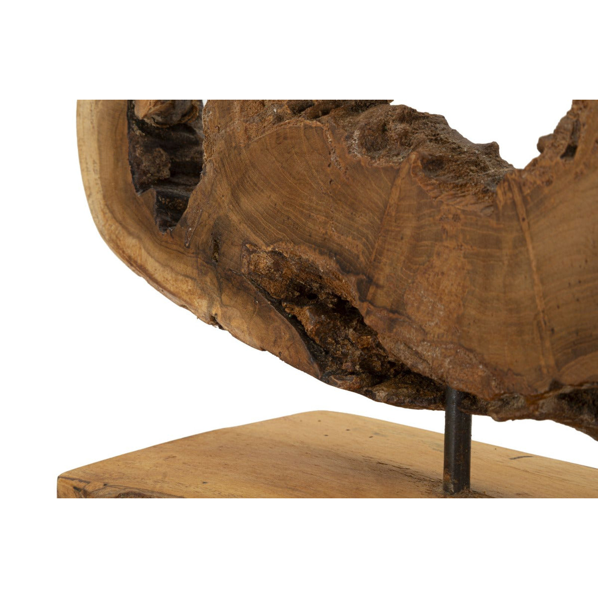Scultura Radice 3, Marrone, Legno, 31x13x35 cm, Seven Design