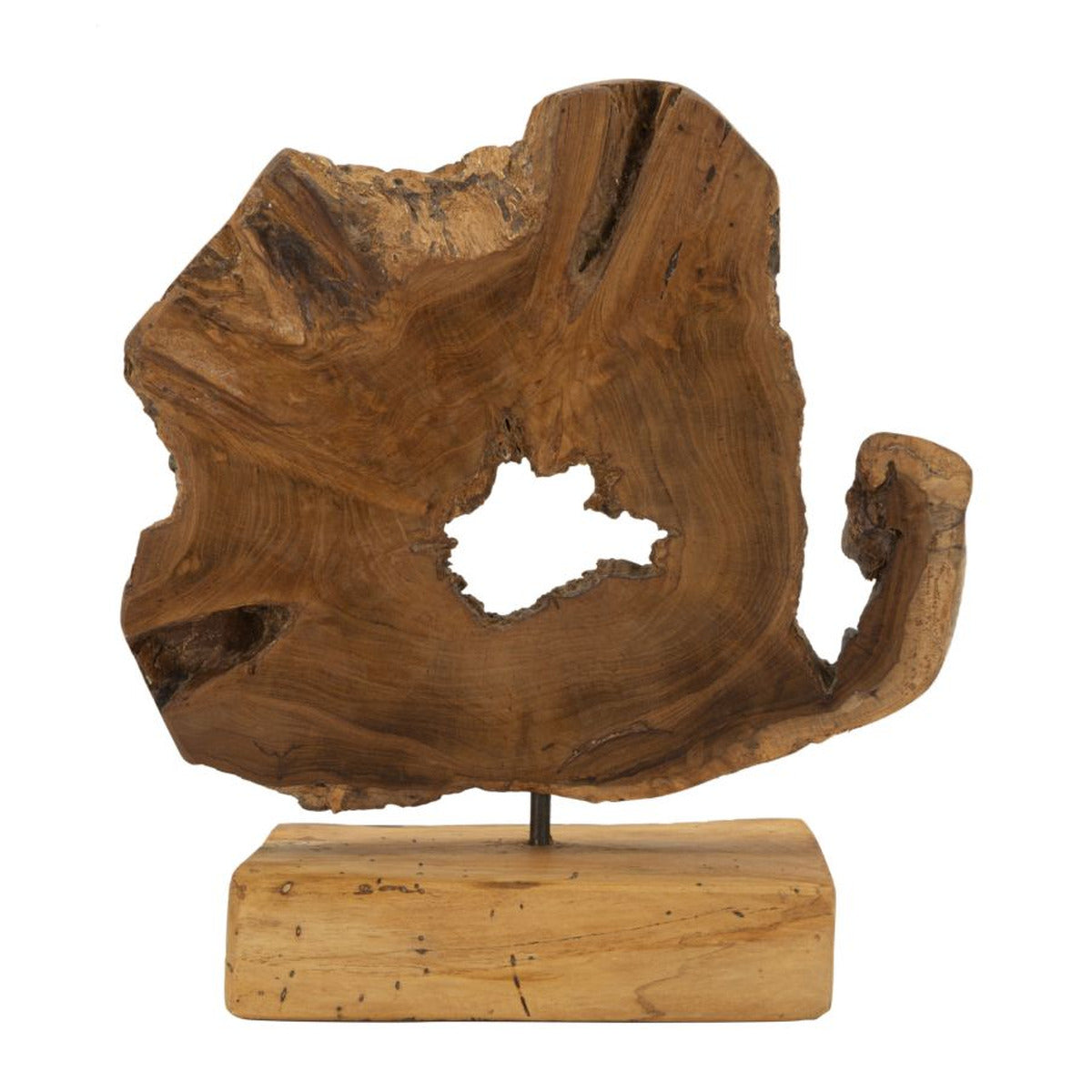 Scultura Radice 3, Marrone, Legno, 31x13x35 cm, Seven Design