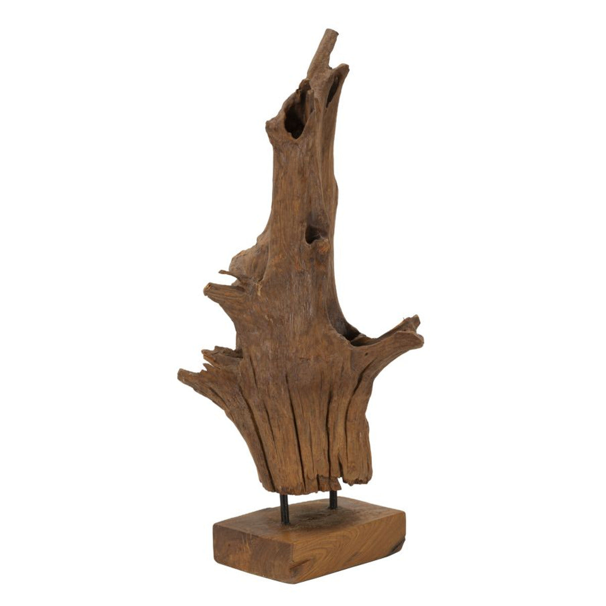 Scultura Radice 2, Marrone, Legno, 23x27x64 cm, Seven Design