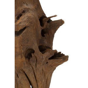 Scultura Radice 2, Marrone, Legno, 23x27x64 cm, Seven Design