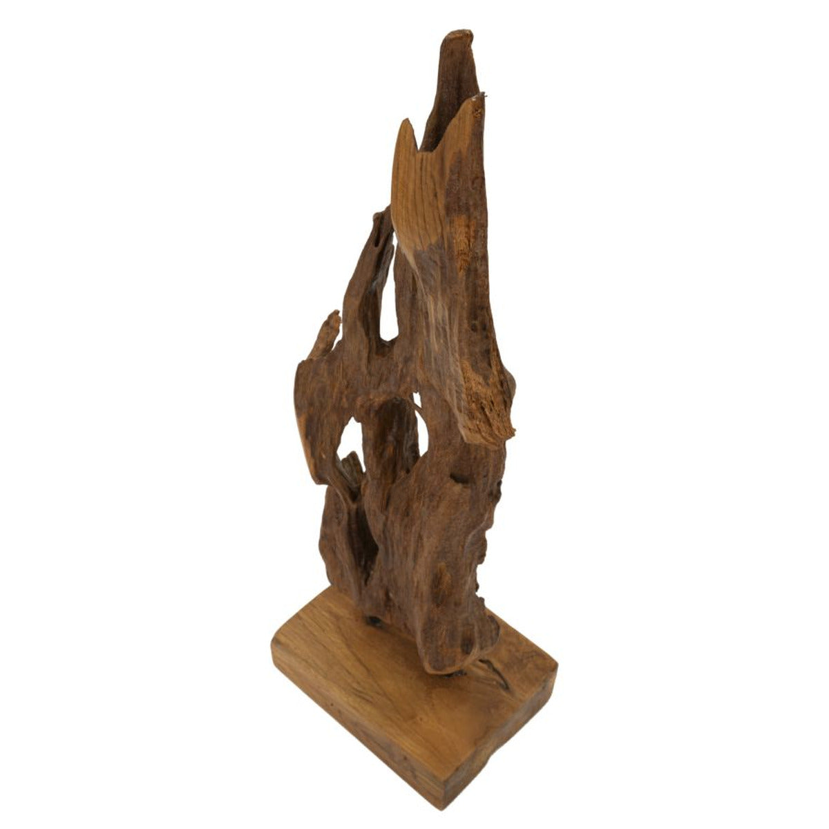 Scultura Radice 1, Marrone, Legno, 18x13x55 cm, Seven Design