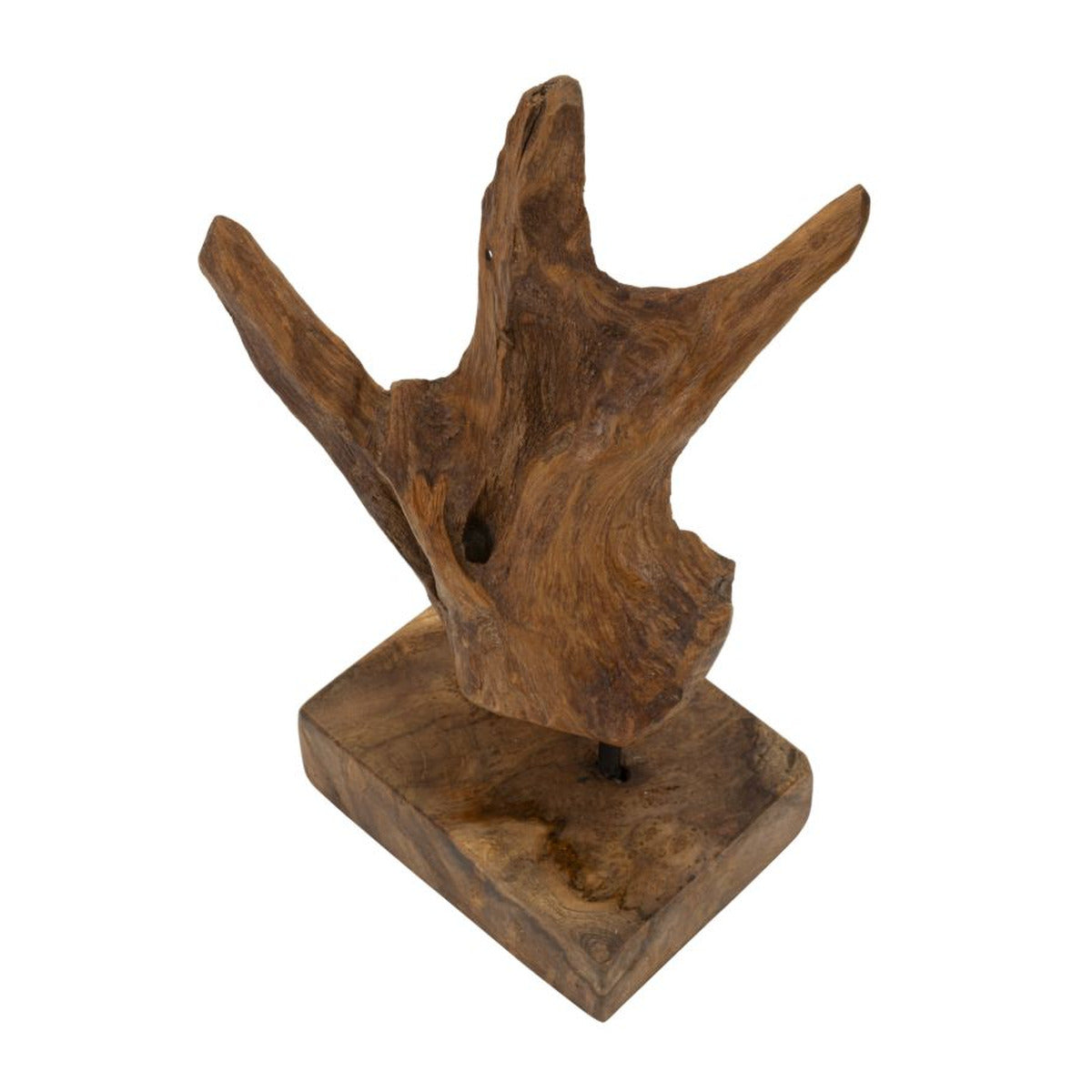 Scultura Radice 4, Marrone, Legno, 20x11x34 cm, Seven Design
