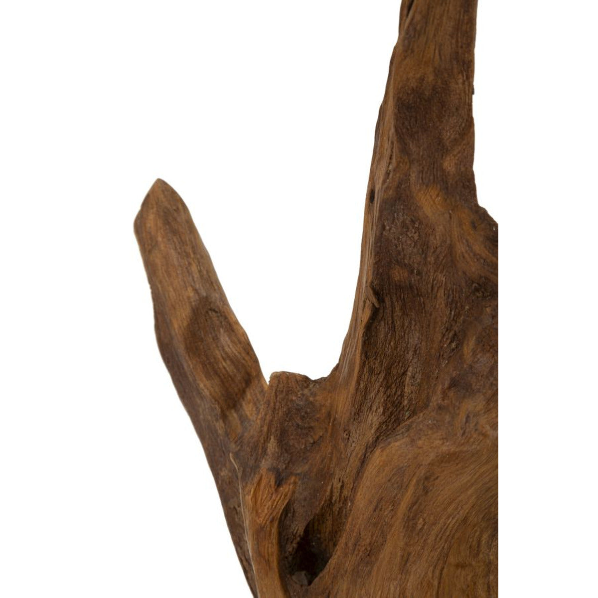 Scultura Radice 4, Marrone, Legno, 20x11x34 cm, Seven Design