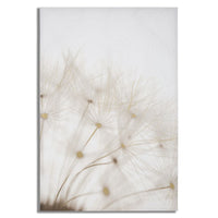 Stampa su Tela Soffioni, Multicolore, Legno, 80x3x120 cm, Seven Design