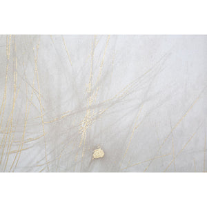 Stampa su Tela Soffioni, Multicolore, Legno, 80x3x120 cm, Seven Design