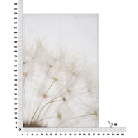 Stampa su Tela Soffioni, Multicolore, Legno, 80x3x120 cm, Seven Design