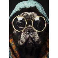 Stampa su Tela Cane 12, Multicolore, Legno, 42,5x2,8x82,5 cm, Seven Design