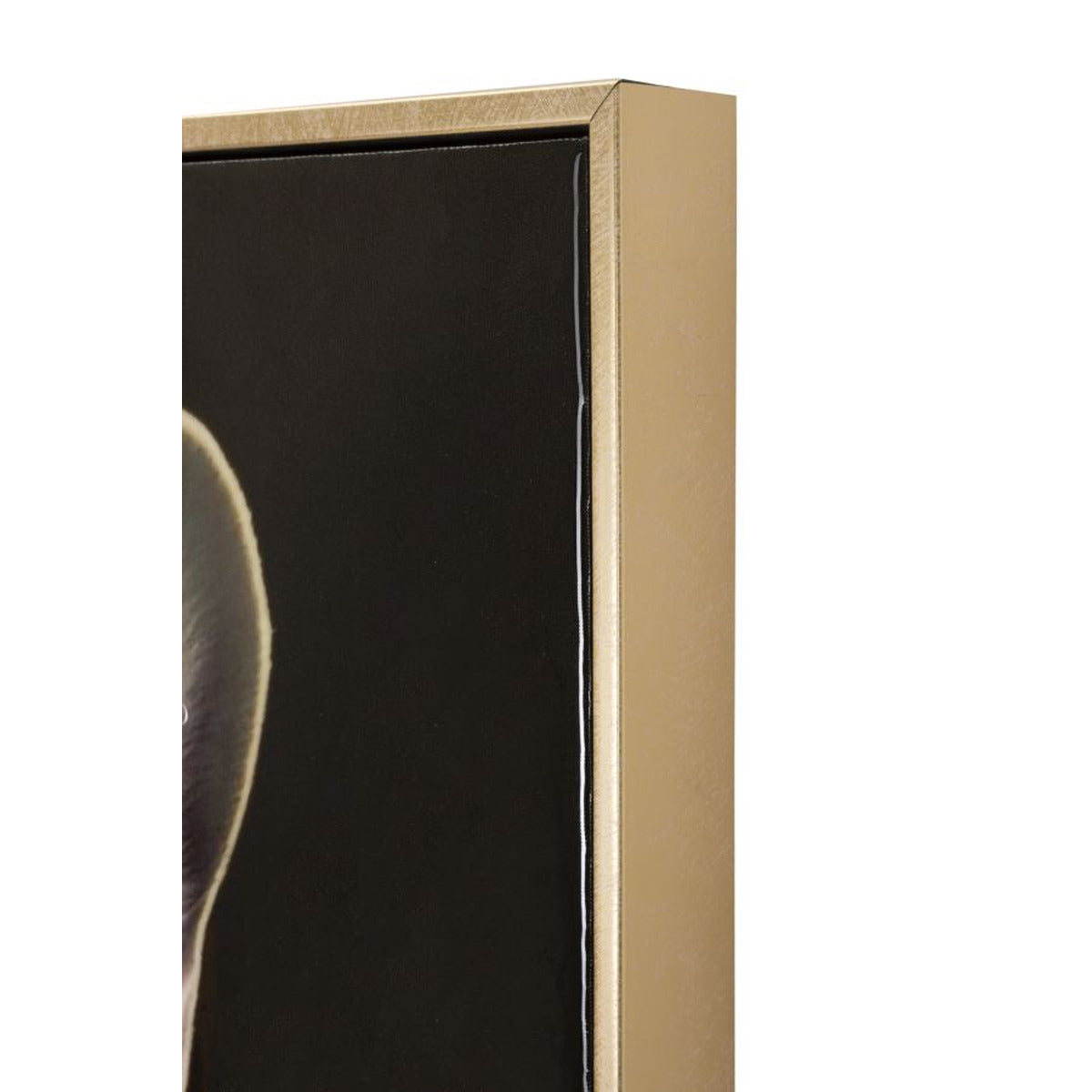 Stampa su Tela Cane 10, Multicolore, Legno, 62x4x82 cm, Seven Design