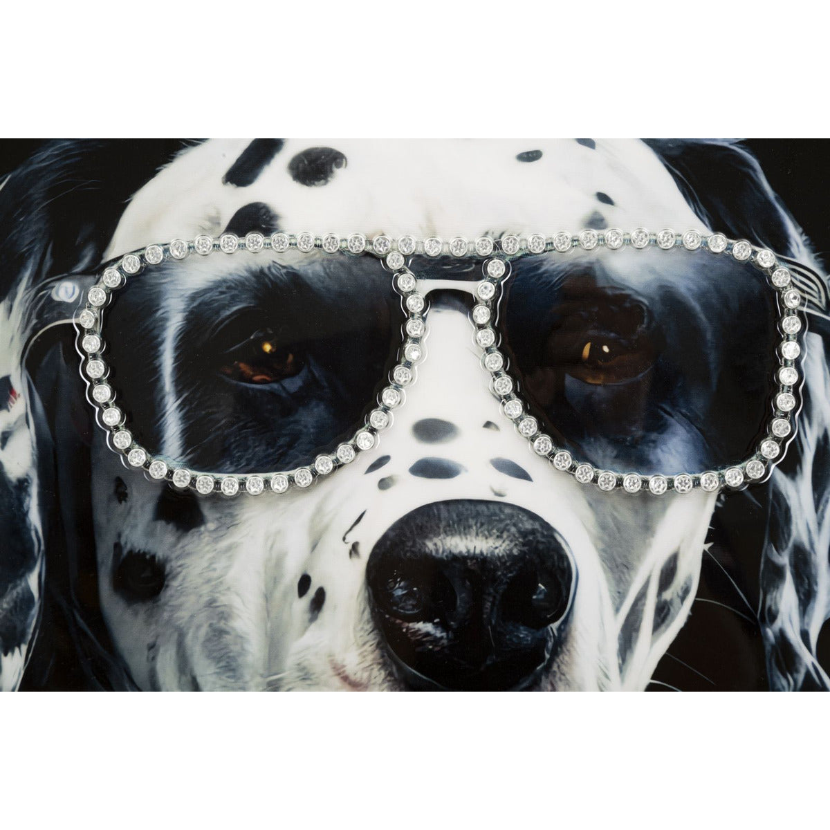 Stampa su Tela Dalmata, Multicolore, Legno, 53x3x73 cm, Seven Design