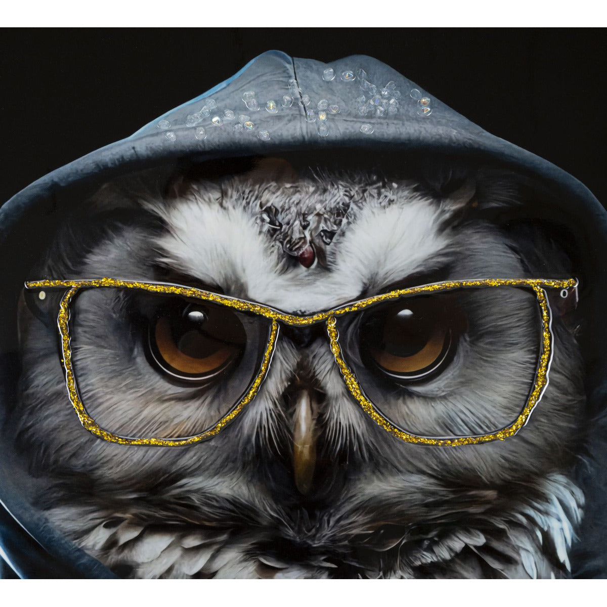 Stampa su Tela Gufo, Multicolore, Legno, 53x3x73 cm, Seven Design