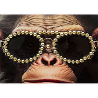 Stampa su Tela Scimmia 8, Multicolore, Legno, 52,5x2,8x72,5 cm, Seven Design