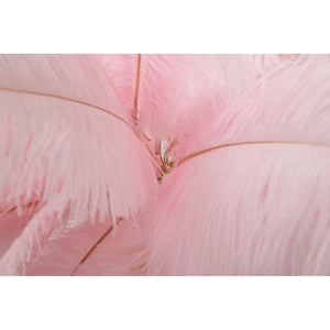 Lampada da Terra Piume 10, Rosa, Metallo, 55x55x160 cm, Seven Design