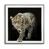 Stampa su Tela Leopardo 1, Multicolore, Tessuto, 82x82x4 cm, Seven Design