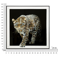 Stampa su Tela Leopardo 1, Multicolore, Tessuto, 82x82x4 cm, Seven Design