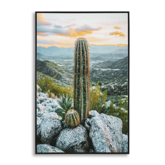 Stampa su Tela con Cornice Cactus, Multicolore, Legno, 60x4x90 cm, Seven Design