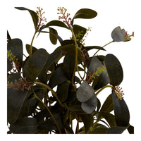 Pianta Artificiale Willow, Verde, Plastica, 15x15x35 cm, Seven Design