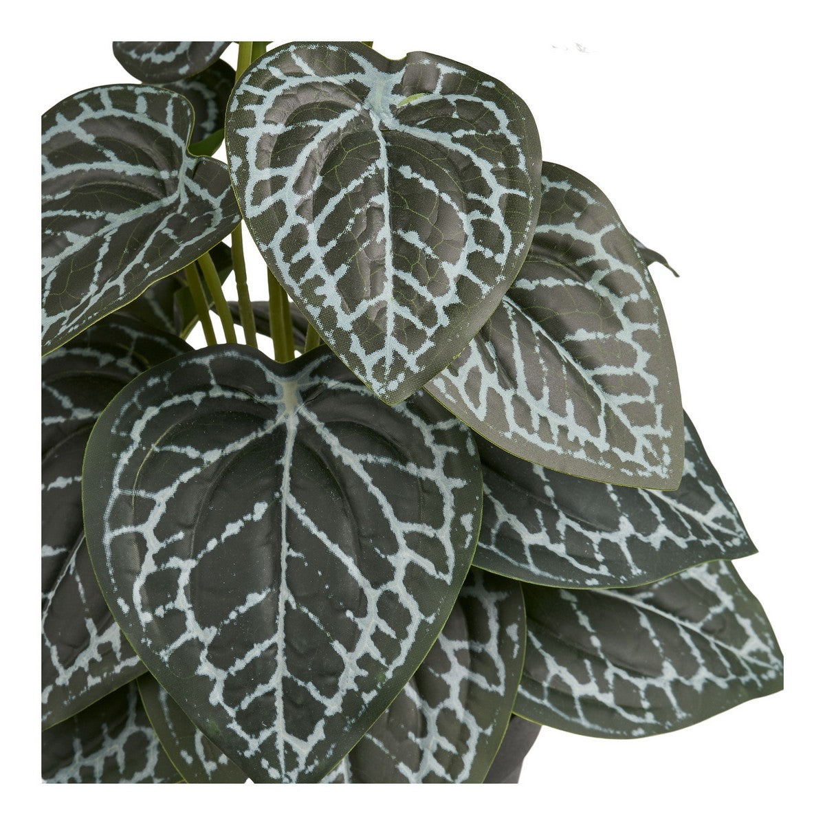 Pianta Artificiale Alexander, Verde, Plastica, 15x15x33 cm, Seven Design