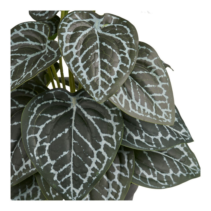 Pianta Artificiale Alexander, Verde, Plastica, 15x15x33 cm, Seven Design