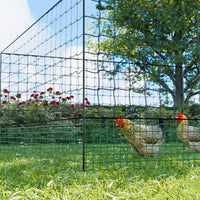 Kit di recinzione in rete modulare per galline