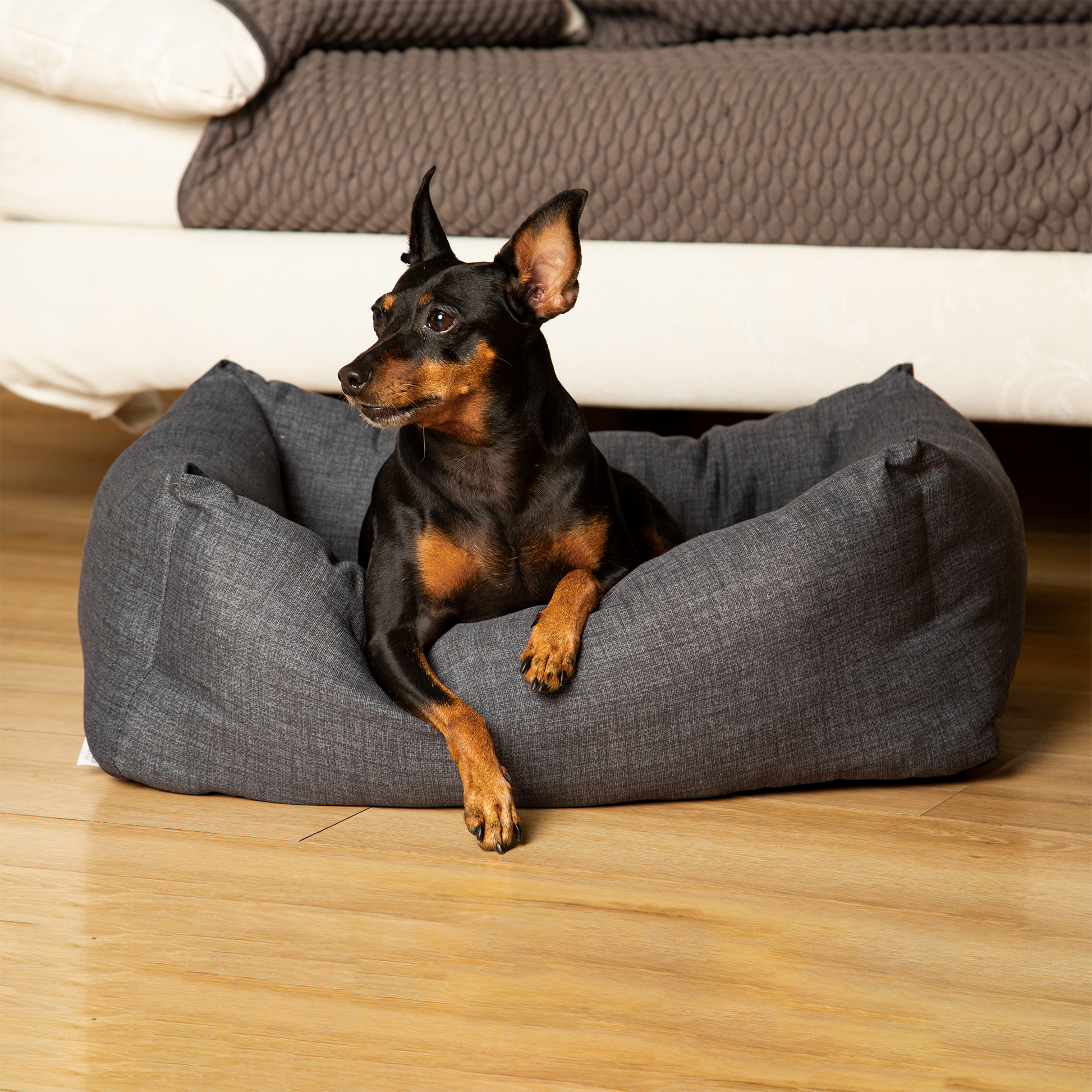 Cuccia per cane e gatto, Medium(60x70cm) | Snuggy