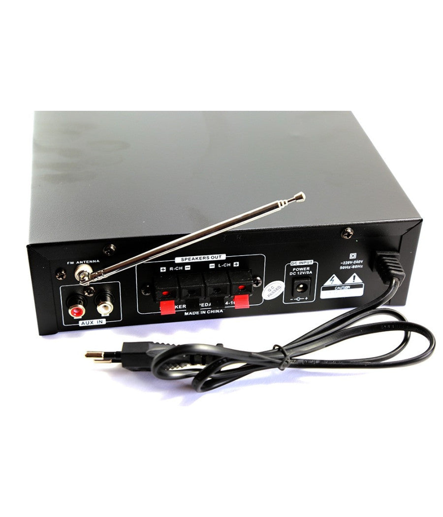 Amplificatore Audio 12v 220v Usb Sd 2 Microfoni Mp3 Fm Casa Auto Bluetooth Bt138         