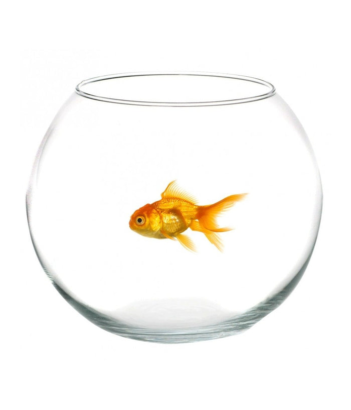 Ampolla Boccia Per Pesci In Vetro 25 Cm Acquario Pesce Rosso Centro Tavola Casa         