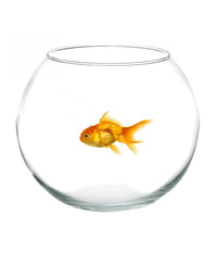 Ampolla Boccia Per Pesci In Vetro 25 Cm Acquario Pesce Rosso Centro Tavola Casa         