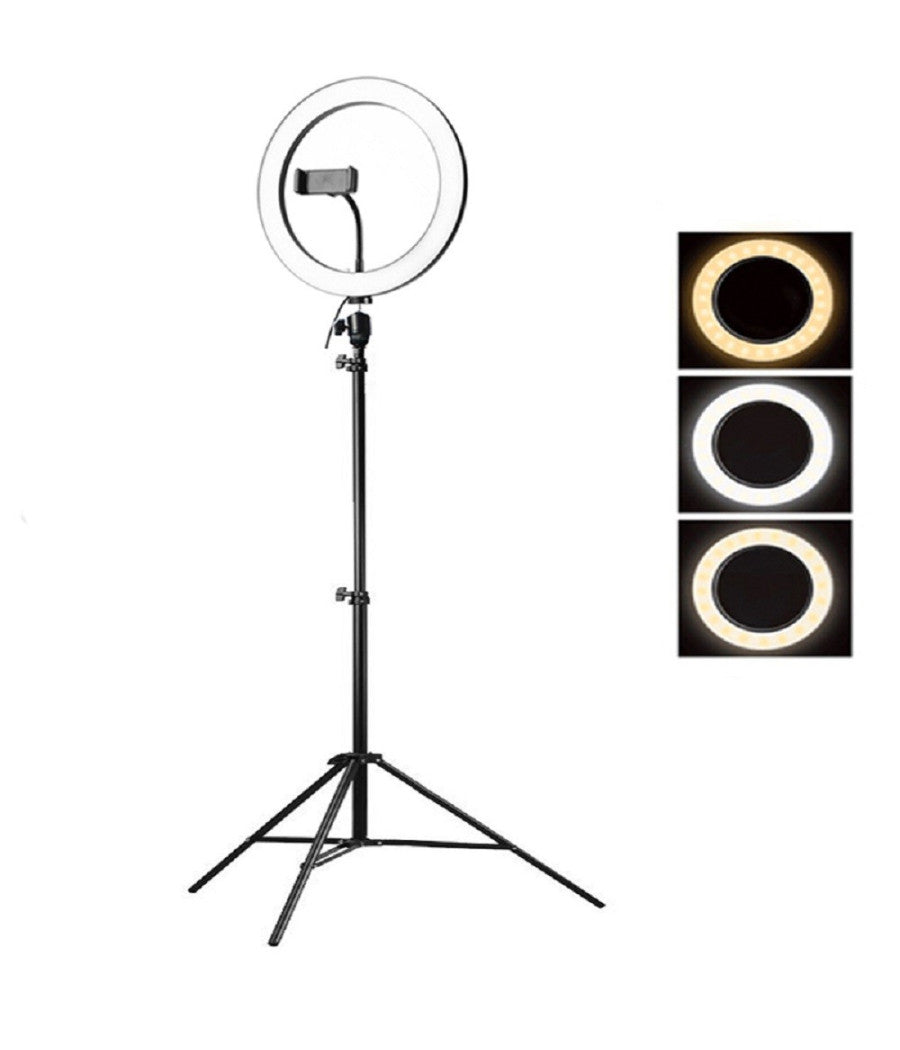 Anello Luce Led Fotografia Makeup Video Diffusore Circolare 10" 26cm Dimmerabile         
