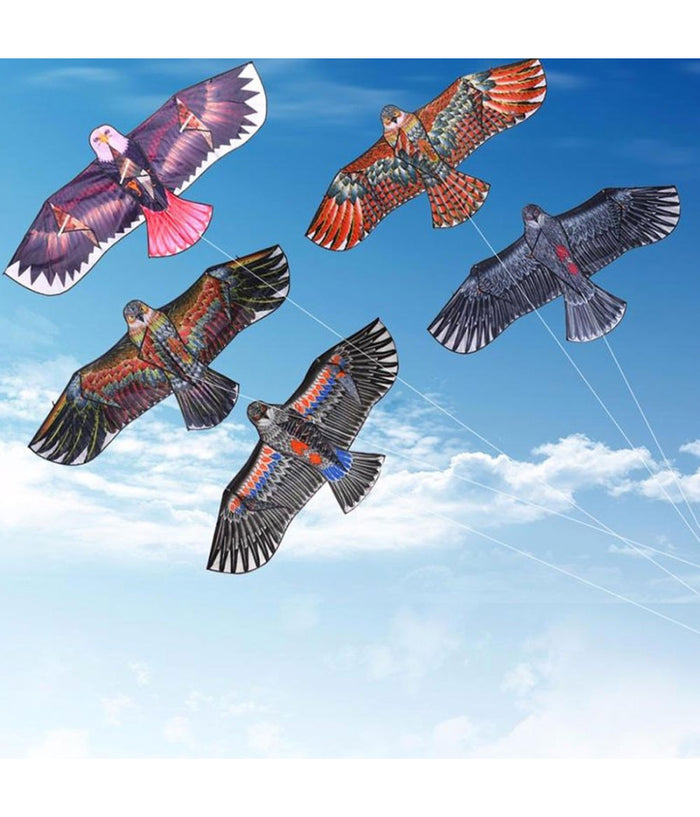 Aquilone Aquila Gioco Esterno Spiaggia Facile Da Pilotare Vari Colori 135x60 Cm         