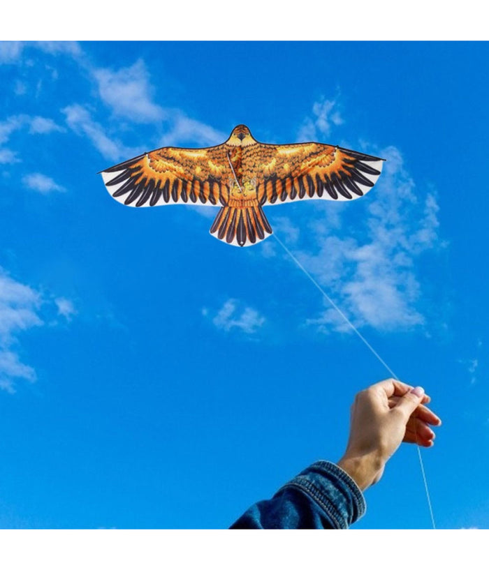 Aquilone Aquila Gioco Esterno Spiaggia Facile Da Pilotare Vari Colori 135x60 Cm         