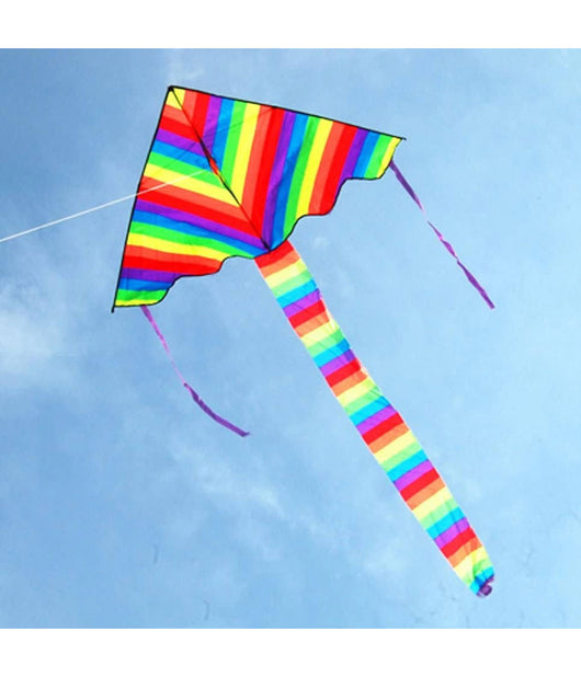 Aquilone Arcobaleno Coda Lunga Gioco Esterno Spiaggia Super Facile Da Pilotare         