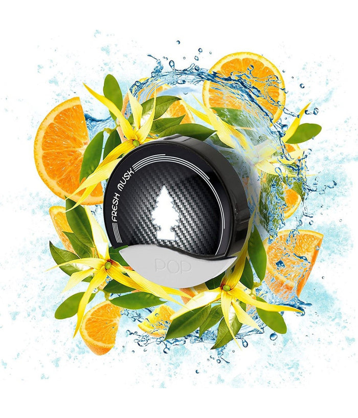 Arbre Magique Pop Deodorante Per Auto Profumazione Fresh Musk Muschio Fresco         