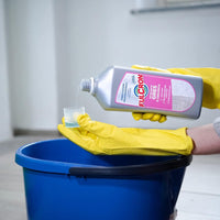 Arexons Fulcron Detergente Concentrato Gres E Ceramica 1lt