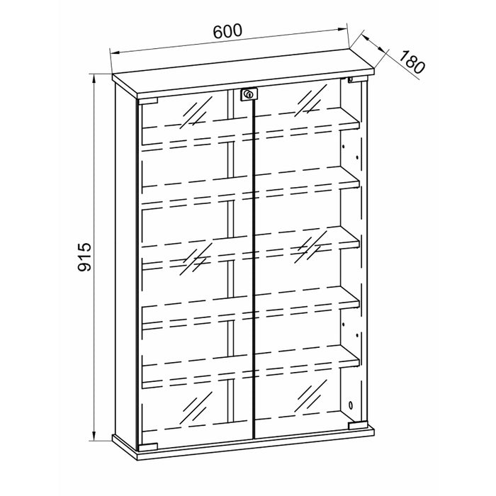 Armadietto Medicinali  Sanitalia dim 60x18 h 91 cm