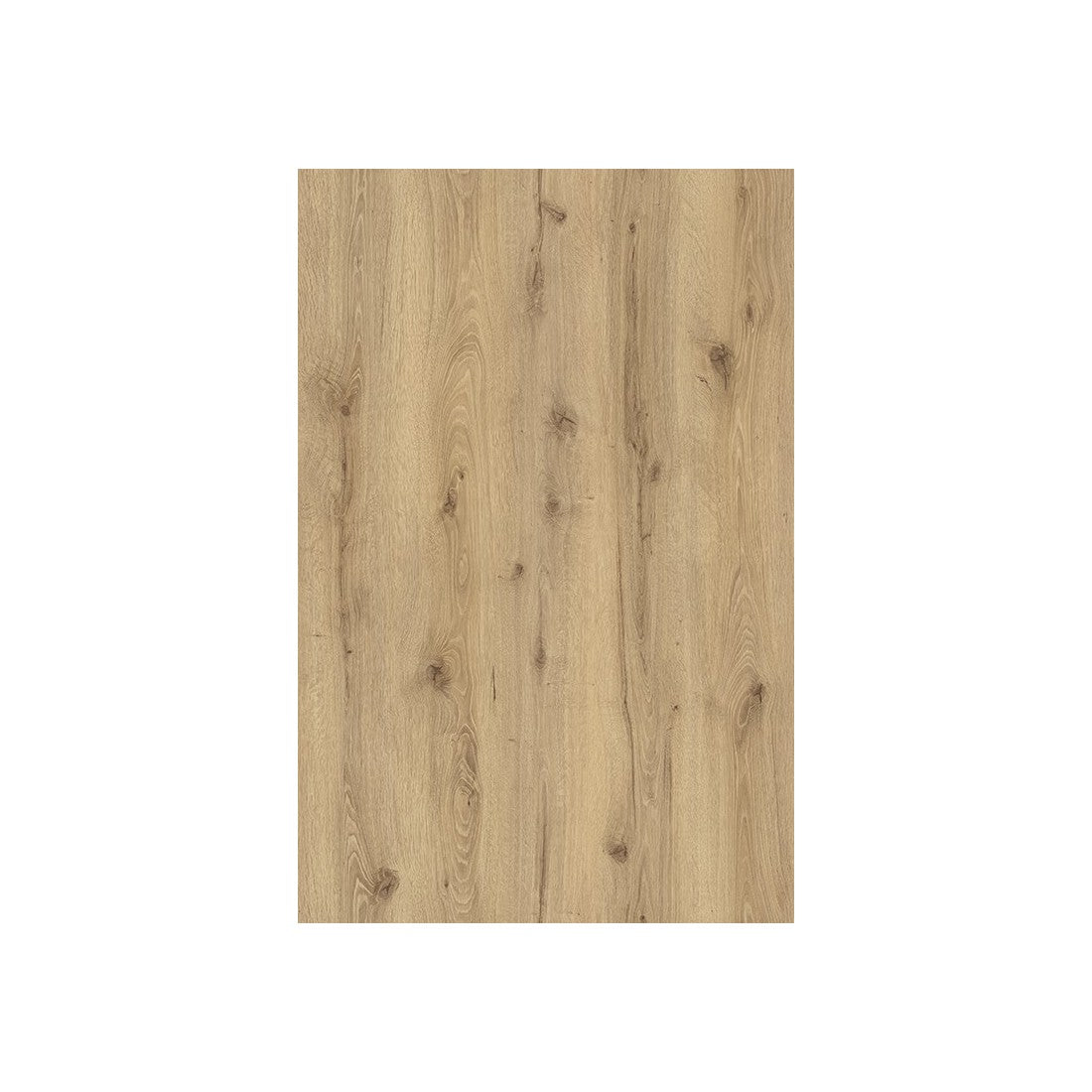 Armadio design con nicchia illuminata collezione VILLA. Colore rovere e nero.