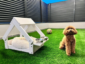 Casetta per cani 76x44x55cm con Letto in legno naturale FSC e 2 supporti per ciotola colore bianco RF991