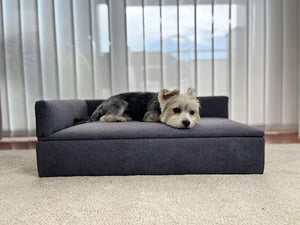 Divano letto per cani di piccola taglia 71x42x24cm in tessuto resistente e comodo schienale e base RF995
