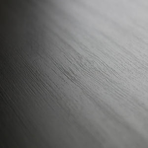 Caminetto elettrico LED, 102x35x45cm, 1 apertura, 1 porta, da appendere, Nero RF2322