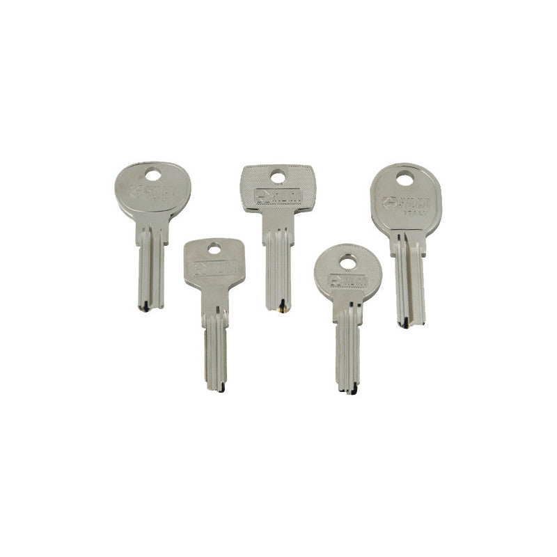 Assortimento 250 chiavi punzonate per serrature domestiche – Modelli vari – Silca