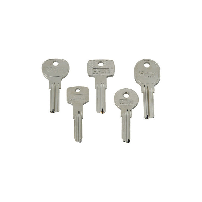 Assortimento 250 chiavi punzonate per serrature domestiche – Modelli vari – Silca