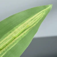 Pianta Tropicale Decorativa Dracena Finta in Plastica con Vaso per Interno ed Esterno, Ф18 x 110cm