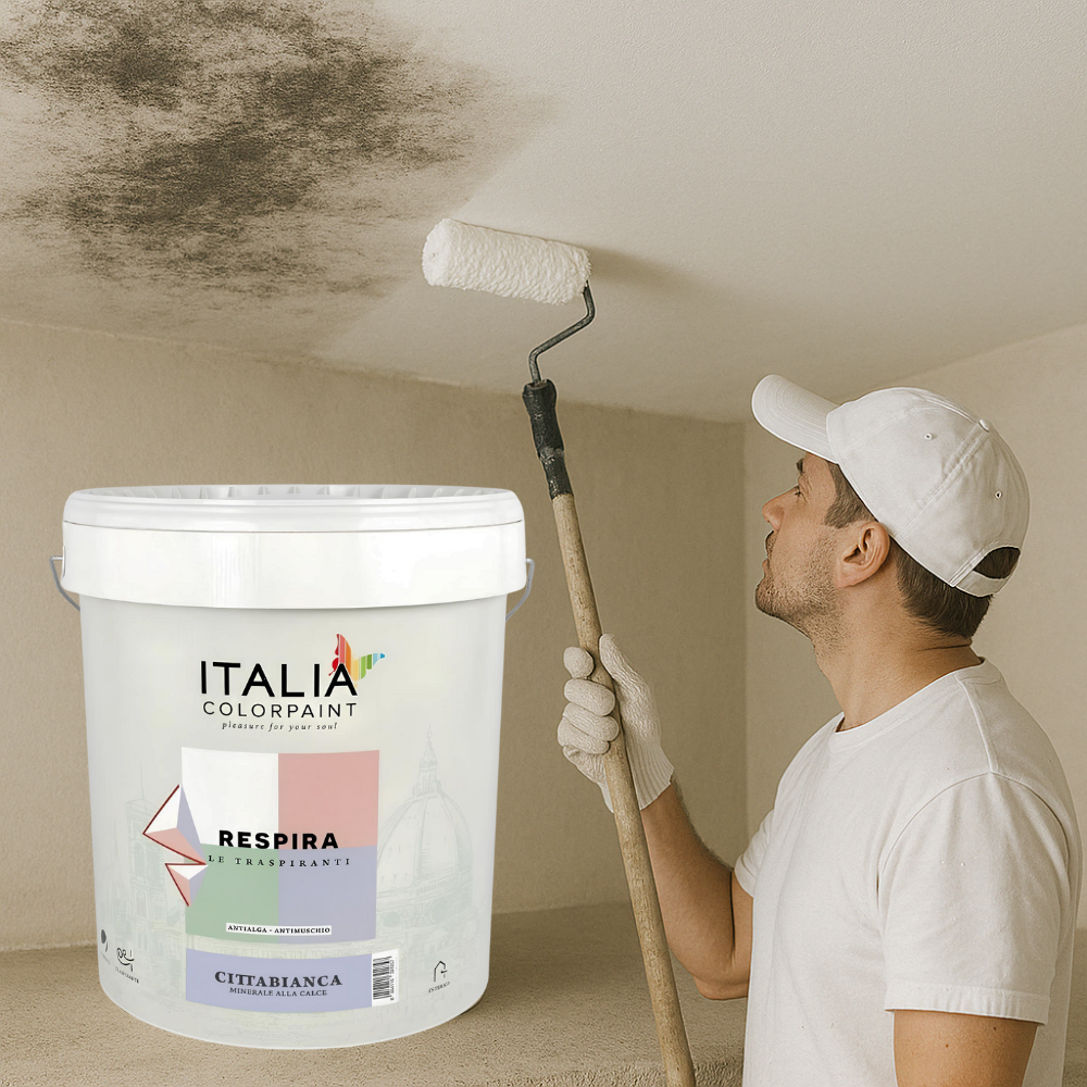 Idropittura minerale calce traspirante vari formati bianca respira cittabianca *** formato 13 lt, confezione 1