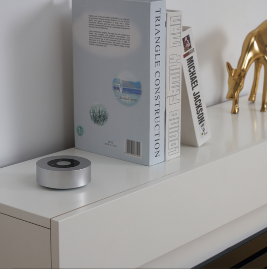 Altoparlante scoppiettante MORITZ - Potente cassa acustica con suoni di fuoco del camino, Bluetooth, AUX, microfono, batteria - Argento