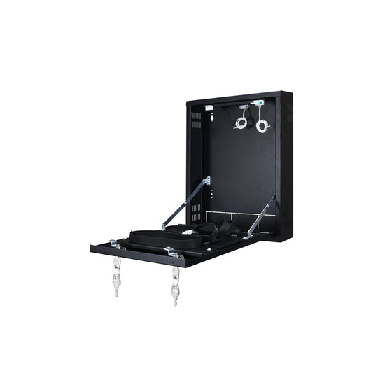 Armadio Contenitore Metallico Verticale Nvr Dvr Pulsar Nero AWO528